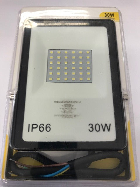 30w LED Floodlight c/w sensor IP66