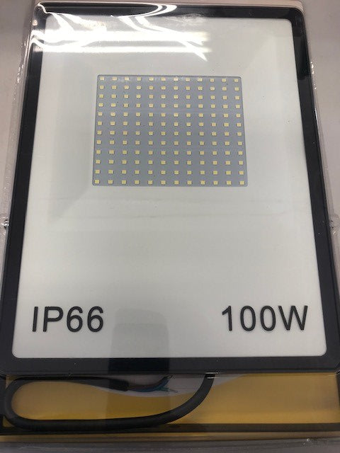 100w LED Floodlight IP66