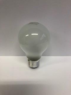 110V 100 watt E27 Base Incandescent Gls  Lamp Pearl Finish